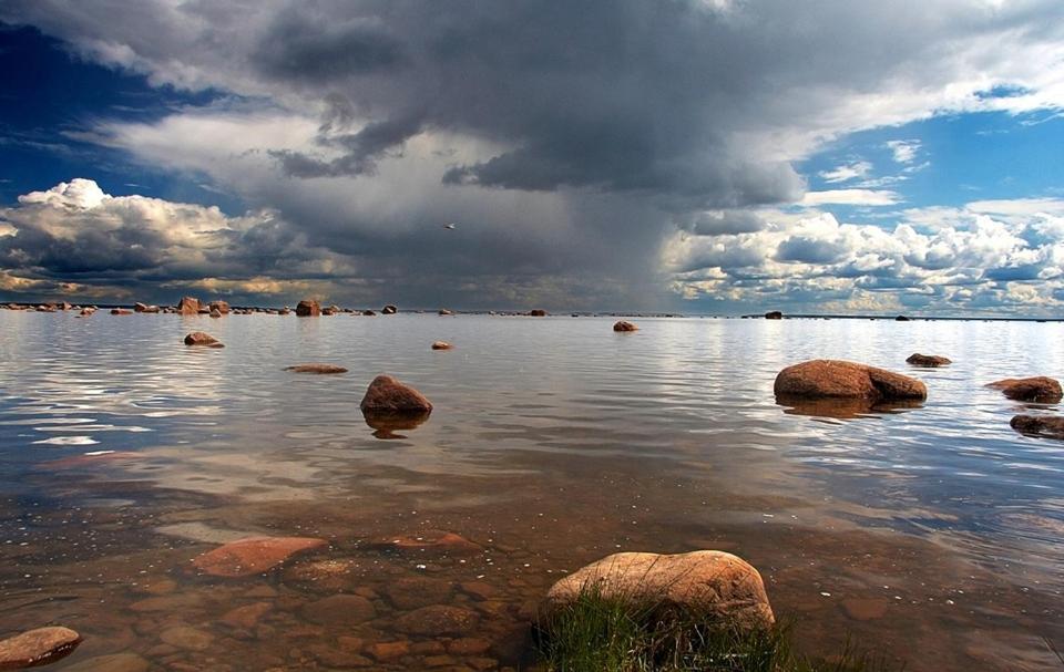 В финском заливе вода соленая или пресная